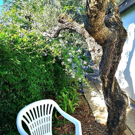 Bed & Breakfast Sul Dorato 3*