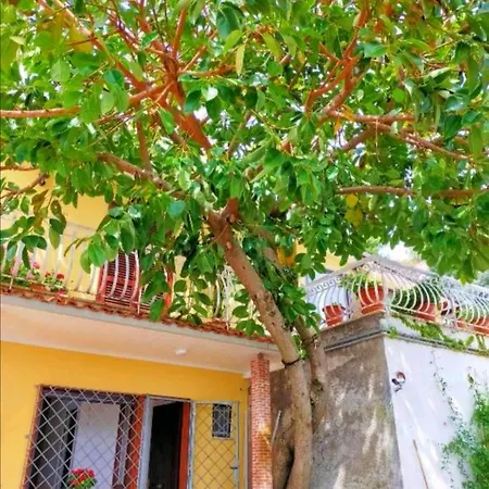 Sul Dorato Bed & Breakfast Terracina